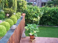 100_1733.webp