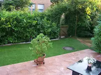 100_1734.webp
