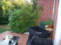 100_1735.webp