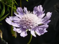 P1040222.webp