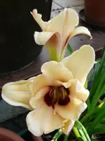 P1040224.webp