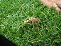 Kopie von jhgddhfjdfj 005.webp