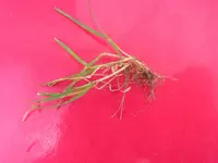 Kopie von jhgddhfjdfj 006.webp