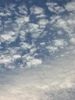 DSCN6972.webp