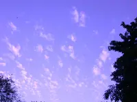DSCN6979.webp