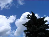 20.06.2009 003.webp