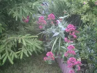 PIC01114.webp