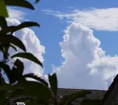 12447.webp