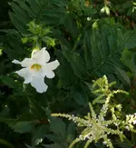 P1060839_553_600.webp