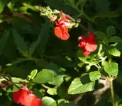 P1060837_600_524.webp