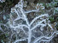 gefrorene Tropfen (1).webp