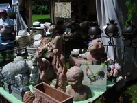 DSC01293.webp