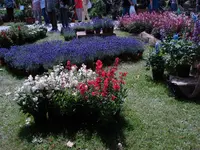 DSC01306.webp