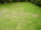 Rasen4.webp