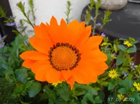 PICT2758.webp