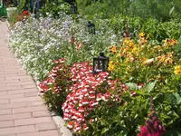 Garten 20.6.09 004.webp