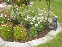 Garten 20.6.09 035.webp
