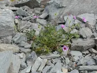 P1010064.webp