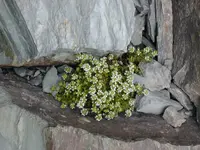 P1010061.webp