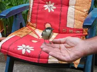 41 ich tue dir nichts- tu mir auch nichts....webp