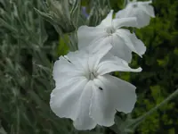 IMG_0218_1024x768.webp