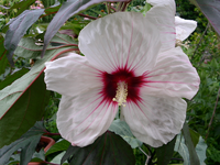 PICT0180.webp