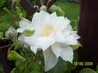 100_1878.webp