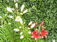 DSC03884.webp