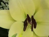 DSC03886.webp