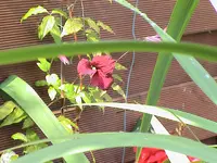 DSC03888.webp