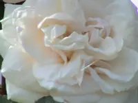 DSC03890.webp