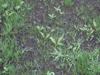 2076_CIMG3460_1[1].webp