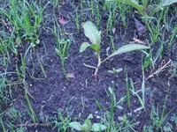 2076_CIMG3461_1[1].webp