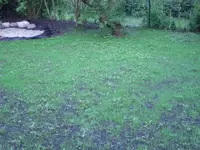 2076_CIMG3462_1[1].webp