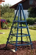 Rankpyramide fertig und bepflanzt.webp
