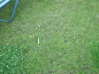 Alle Fotos 318.webp