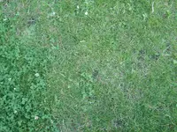 Alle Fotos 320.webp