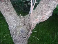 Alle Fotos 346.webp