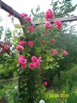 100_1858.webp