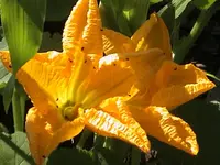 DSC00008.webp