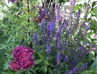 garten4.webp