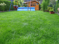 23.06.2009 10-15-21_01.webp