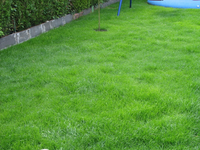 23.06.2009 10-15-37_03.webp