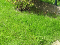 23.06.2009 10-33-22_05.webp