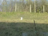 P1240020.webp