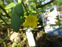 P1230988.webp