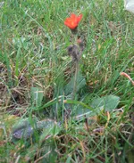 IMG_4070.webp