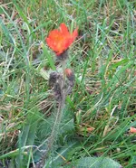 IMG_4069 Kopie.webp