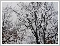 001.webp