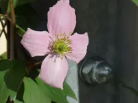P1130229.webp